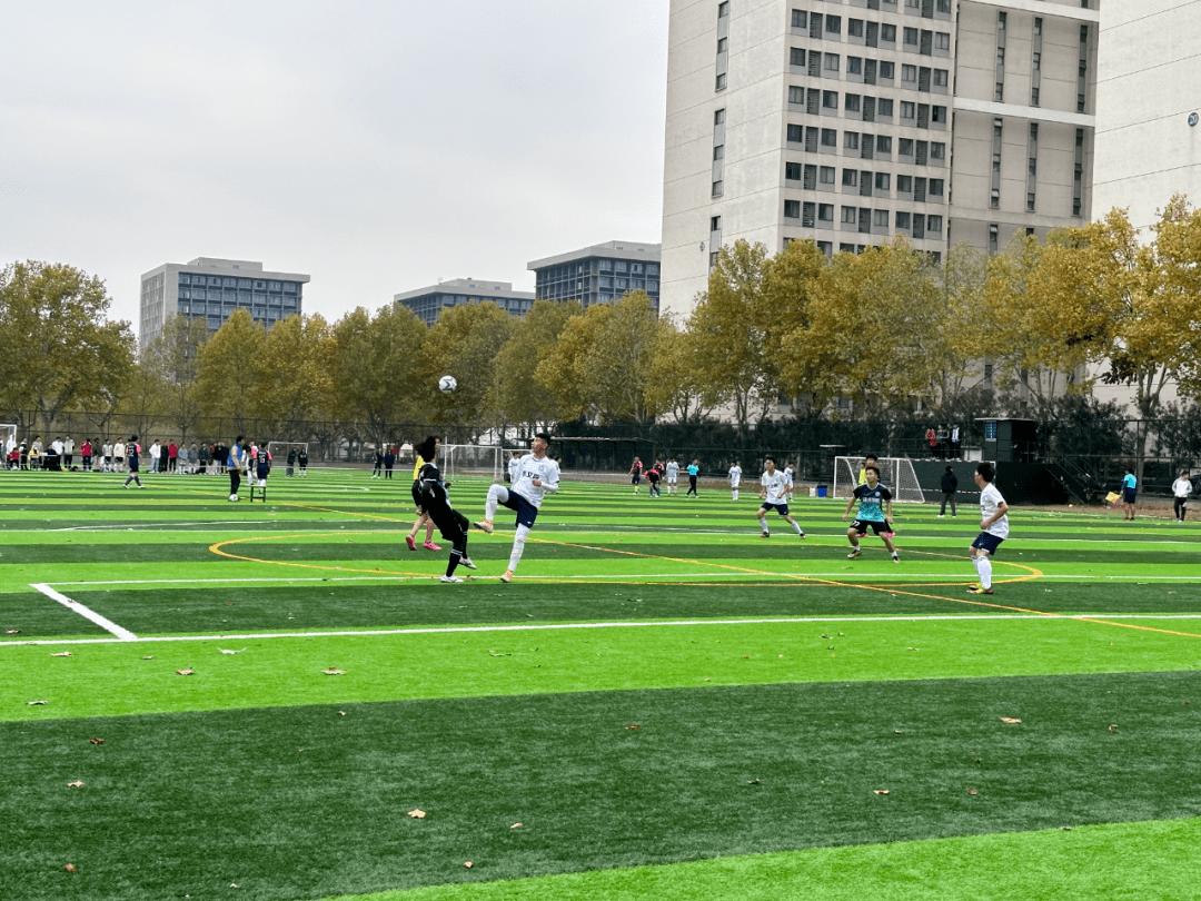 乐鱼体育官方网站-关于社区盾倒计时，新奥尔良鹈鹕加时末段战术微调，细节引发关注，引发热议，年轻球员得到机会的信息-乐鱼体育官方网站